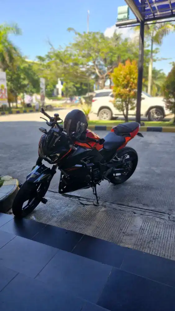 Z250 Orange Rare Item