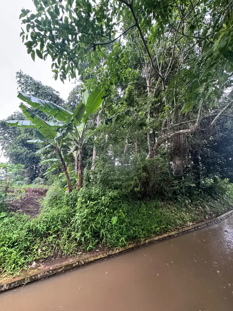 Jual Tanah Pekarangan