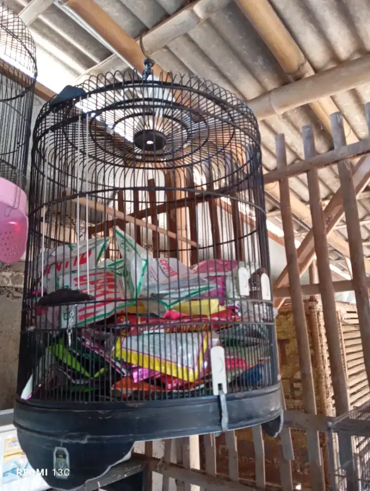 Sangkar murai bekas