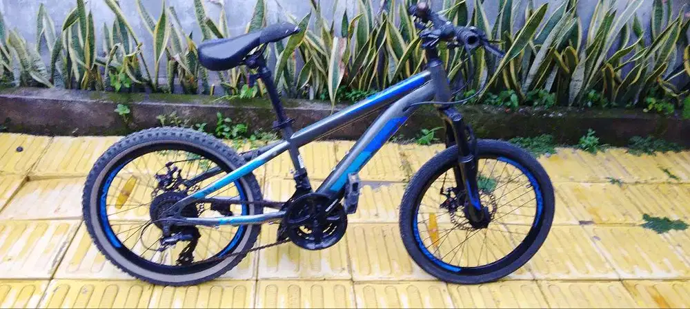SEPEDA GUNUNG MTB 20 GENIO M3412 SHIMANO 8 SPEED