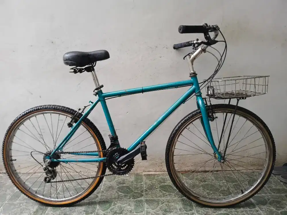 Sepeda kalcer, siap goes. Rims 26 model federalan. Ttambah speda ok