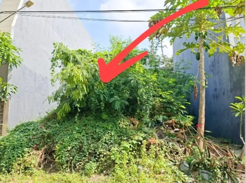 Tnh (8x12) di Perum.Semolowaru