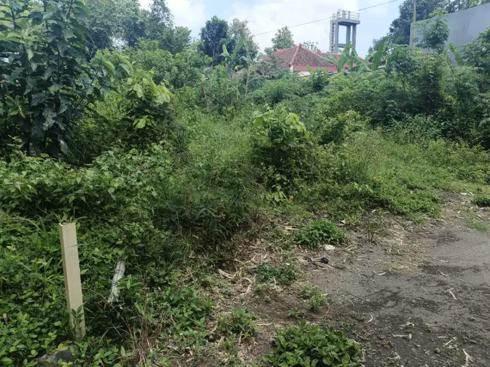 Dijual tanah istimewa masih nyaman , tenang dekat SD model Maguwoharjo