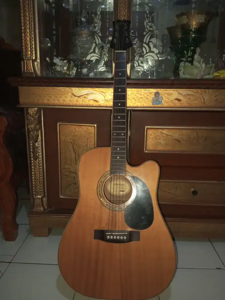 Gitar Mitchell md100s