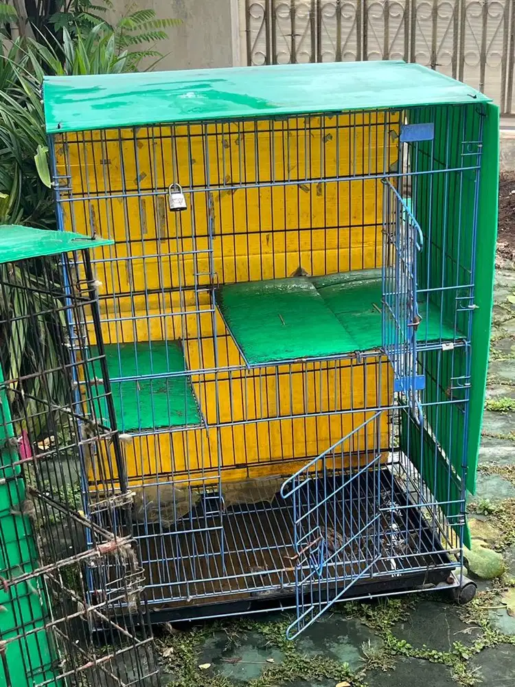 Kandang kucing atau hewan