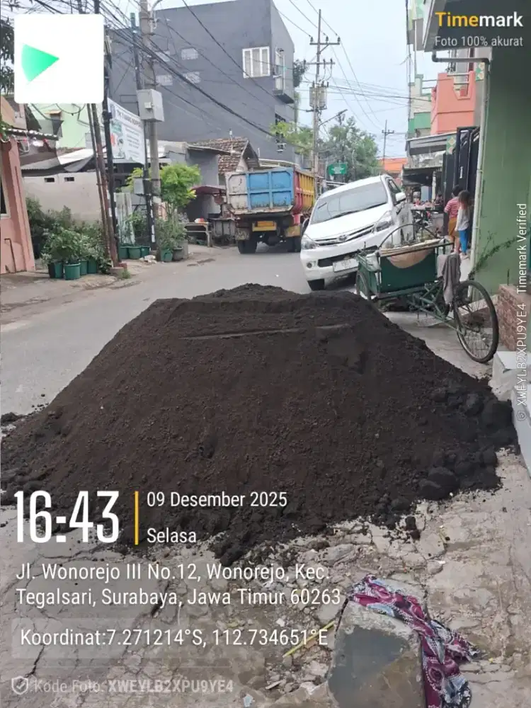 Pasir pasang kualitas terbaik free ongkir