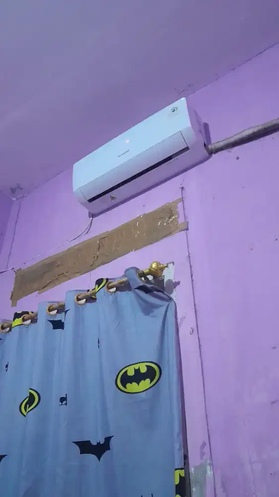 Ac Sharp 1/2 Pk normal