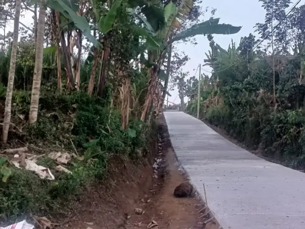 Tanah kebun investasi cemerlang malang