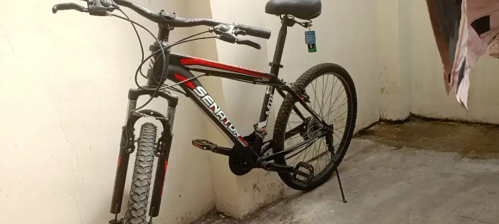 Sepeda senator siap gowes