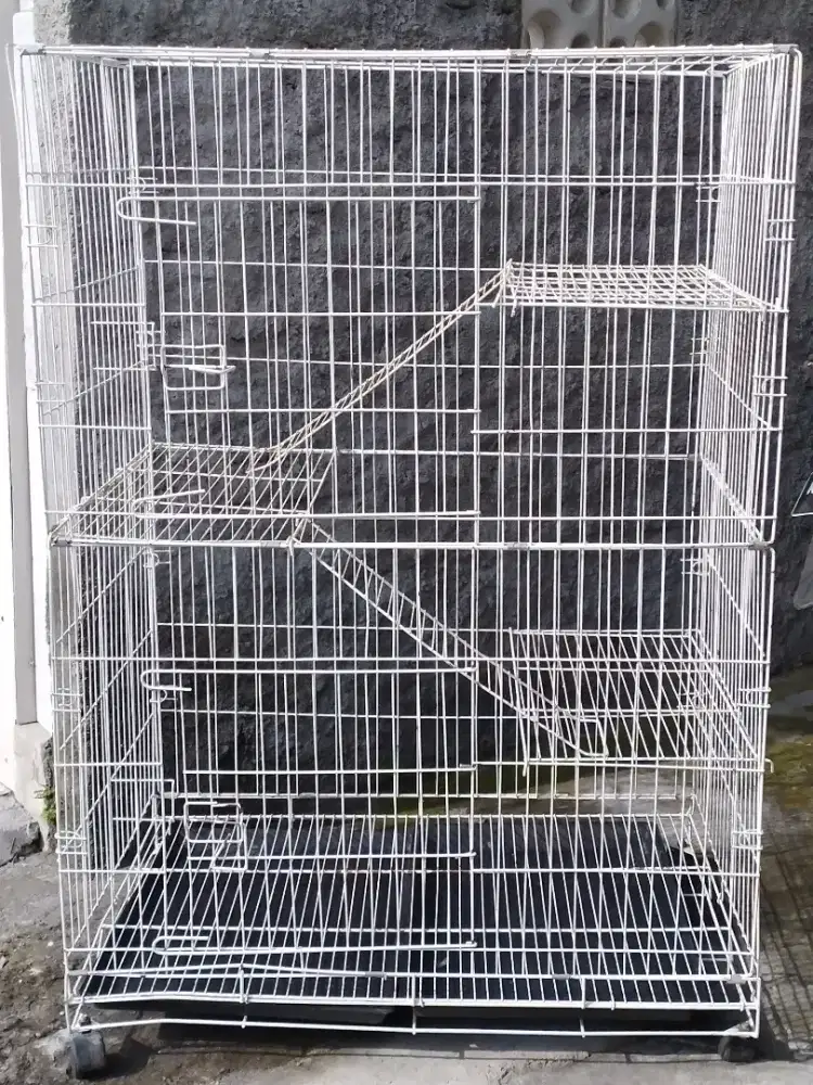 Kandang kucing lipat