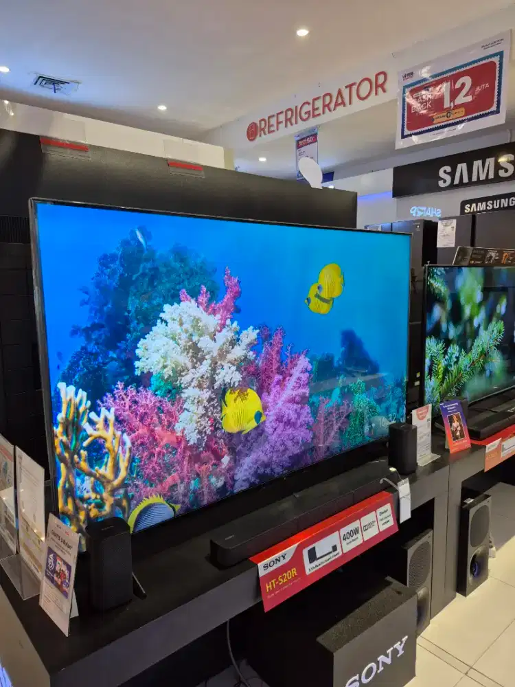 SONY GOOGLE TV 65inch promo