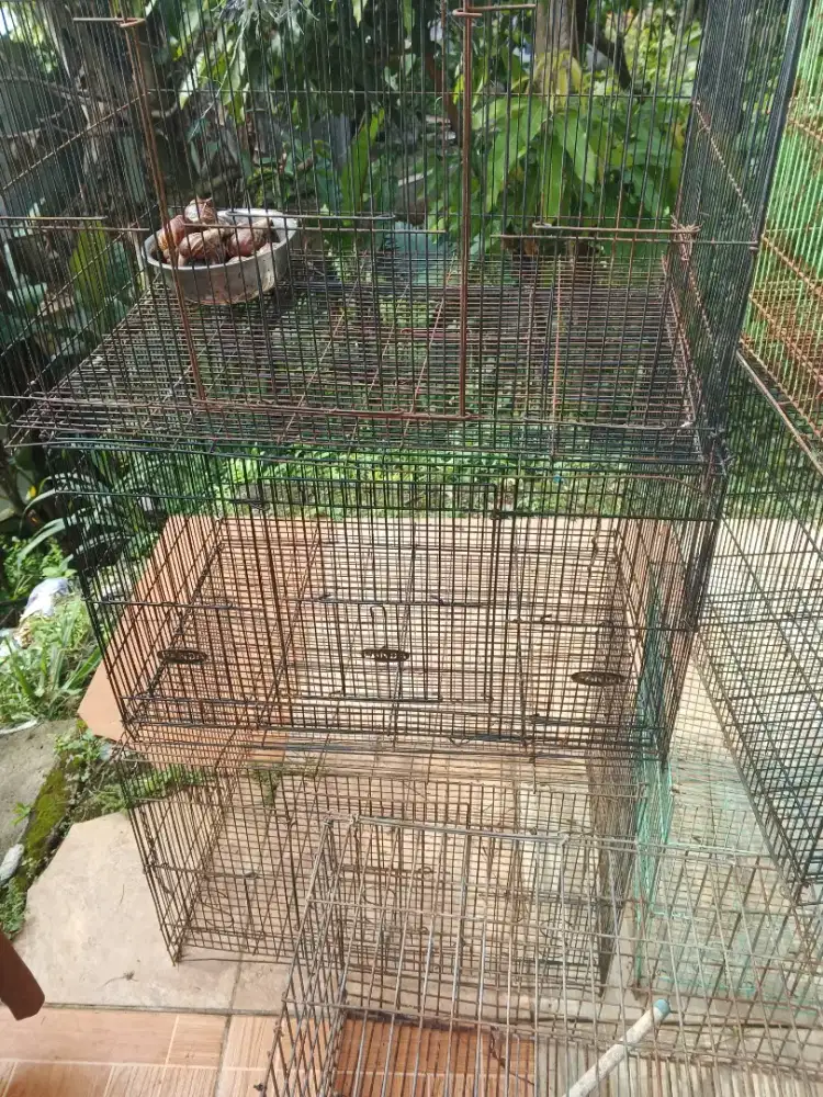 Kandang besi untuk ayam, kucing kelinci dll
