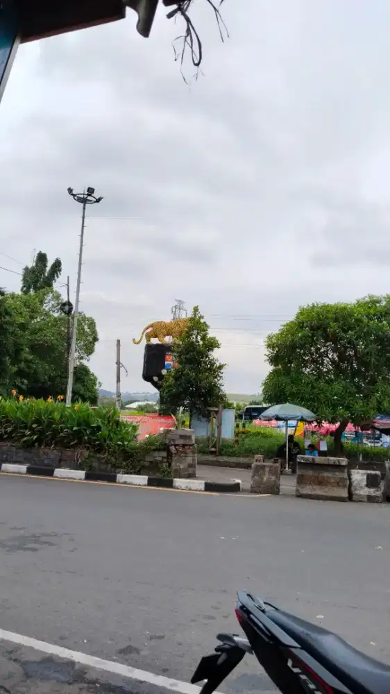 Jasa beberes rumah, masak, setrika ,,harian/panggilan