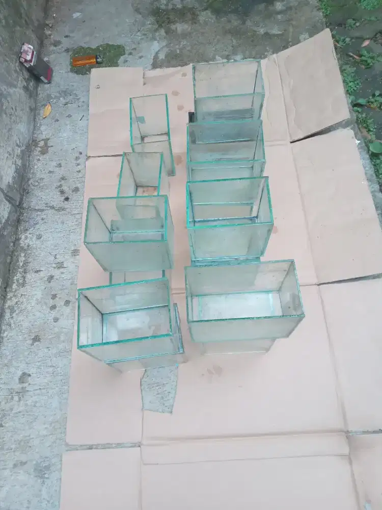 Soliter Mini Aquarium Kaca