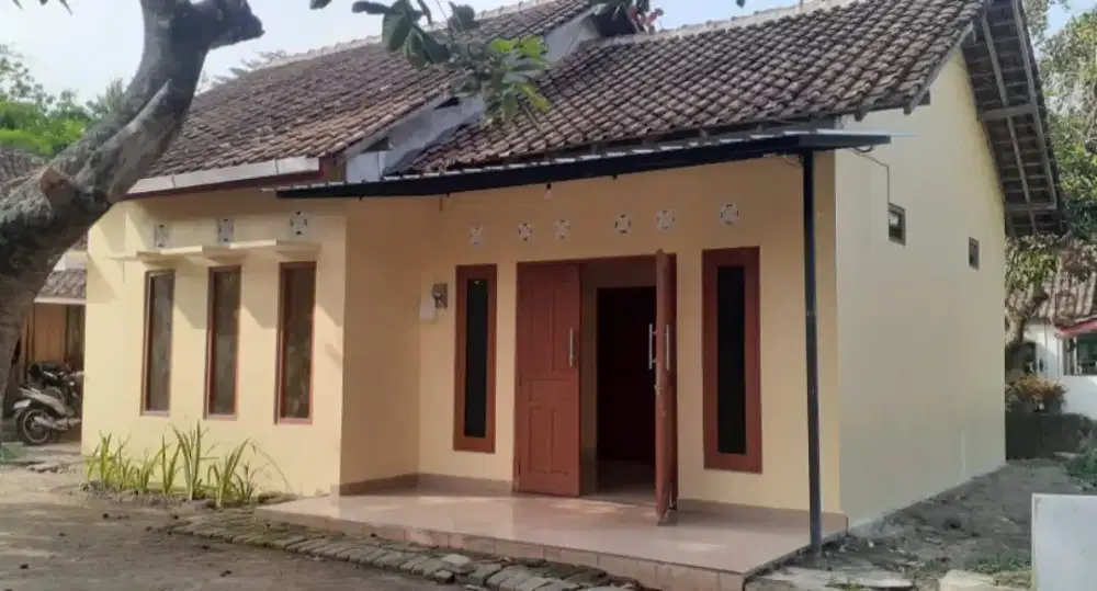 Rumah Murah disewakan