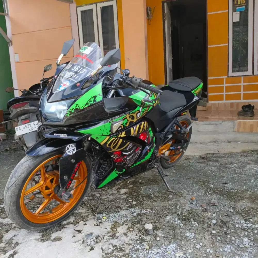Ninja 250 double silender Karbu