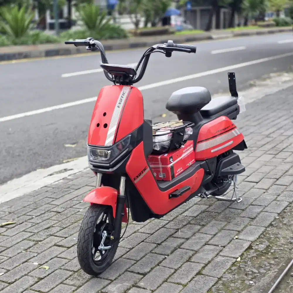 EXOTIC STRINGER READY STOCK WARNA LENGKAP