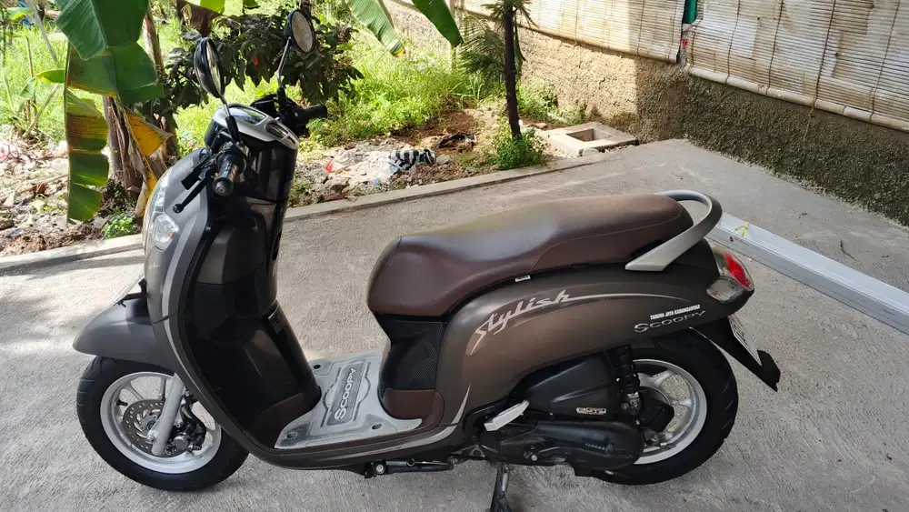 Scoopy ban donat murah