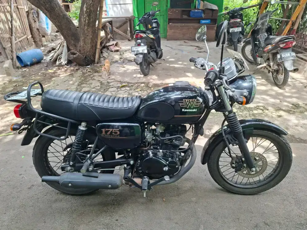 Kawasaki W175 SE
