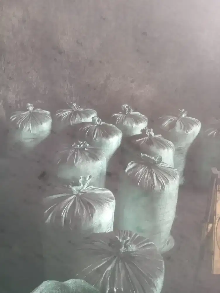 Loker ayak pasir areng