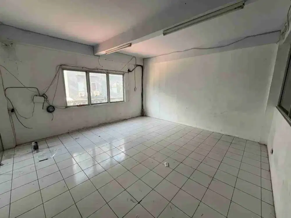 D sewa gudang elang laut pik