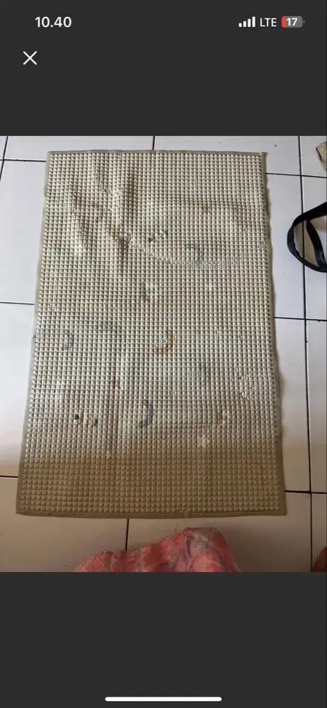 Perlak Karet Sugar Baby