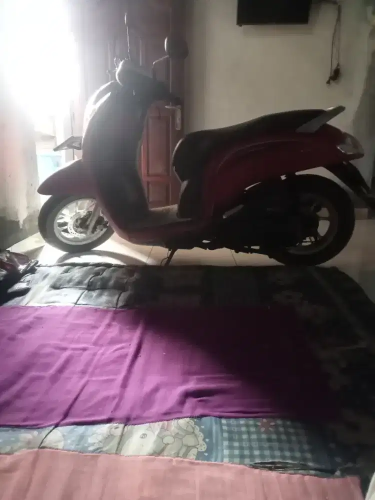 Scoopy THN 2018 komplit