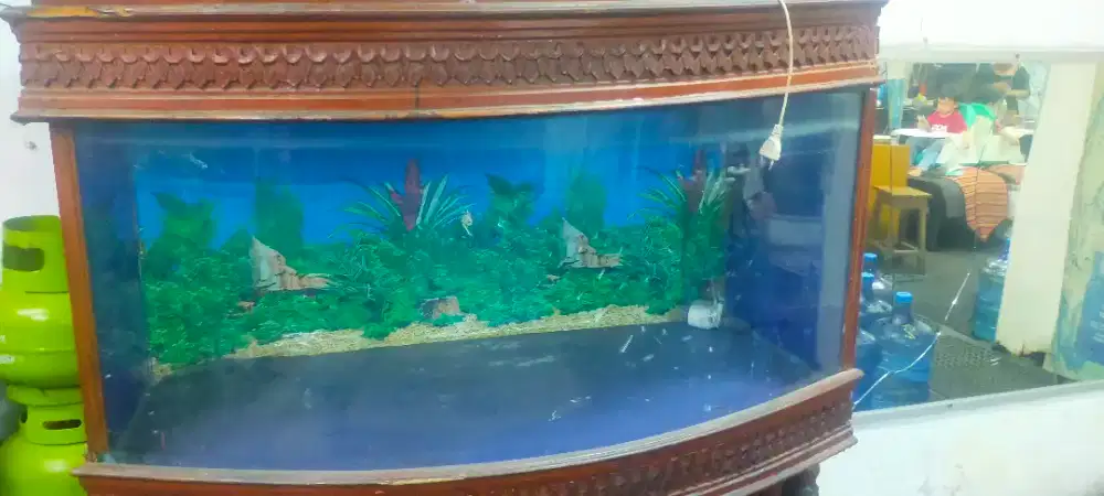 Aquarium ikan hias