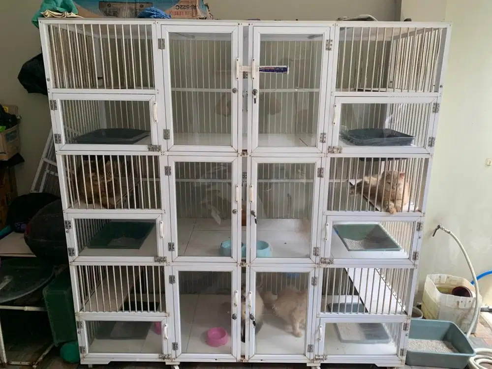Kandang Kucing 6 Pintu