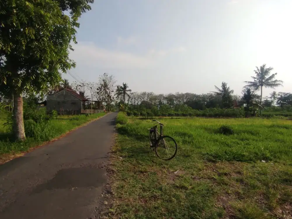 Dekat Jalan Kaliurang,km 14, Tanah Jogja Pandanaran Cocok Kos/ Hunian