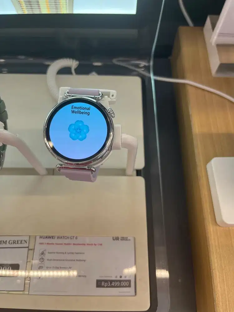 Huawei watch GT 6