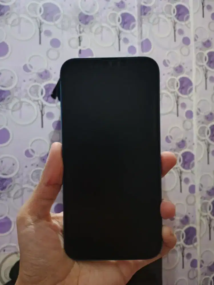 Jual Cepat ip13 Blue Second