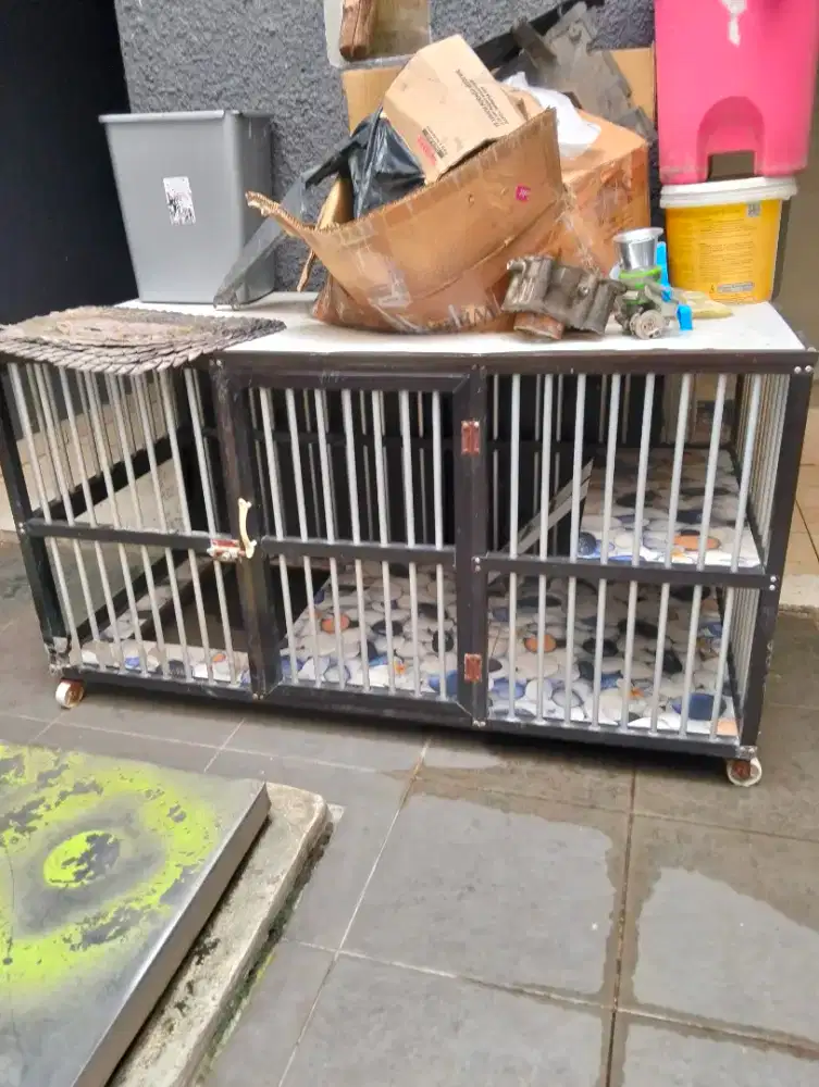 Kandang kucing bagus jual cepat harga nett