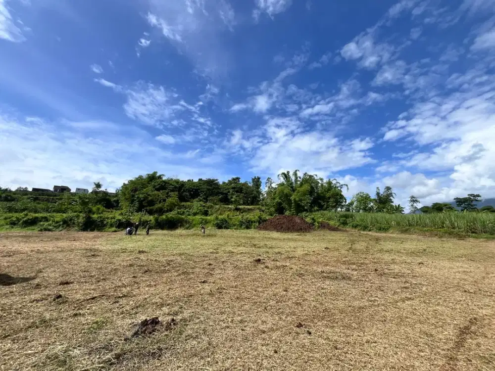 Sertifikat SHM Kawasan Berkembang Tanah Di Wagir