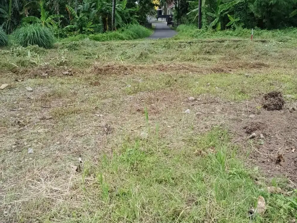 Tanah Bias  jogja 10 menit Kampus UII Kaliurang SHM Pekarangan