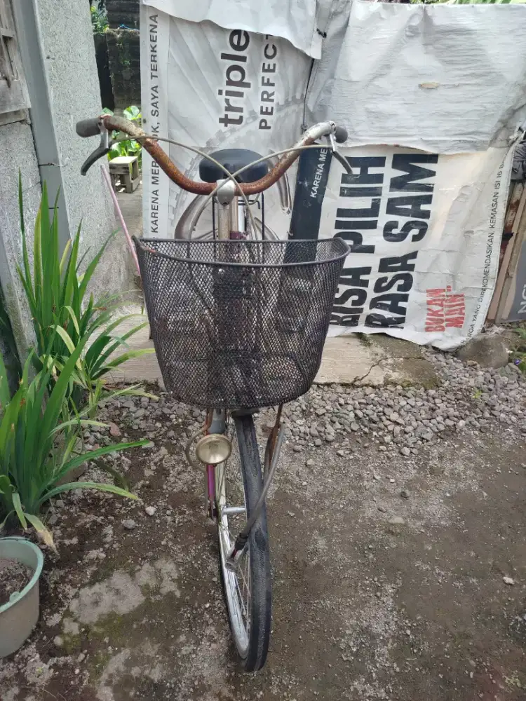 Sepeda L- Lady Japan