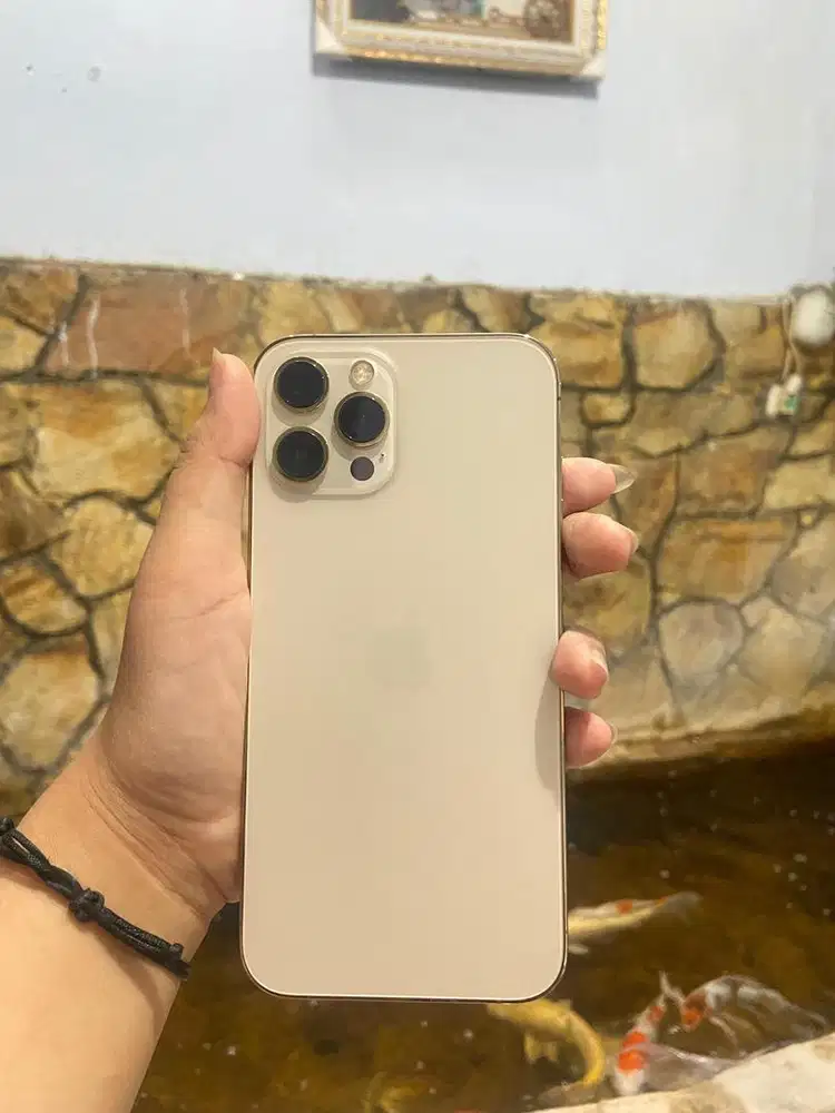 Iphone 12 Pro Max 256 Ibox