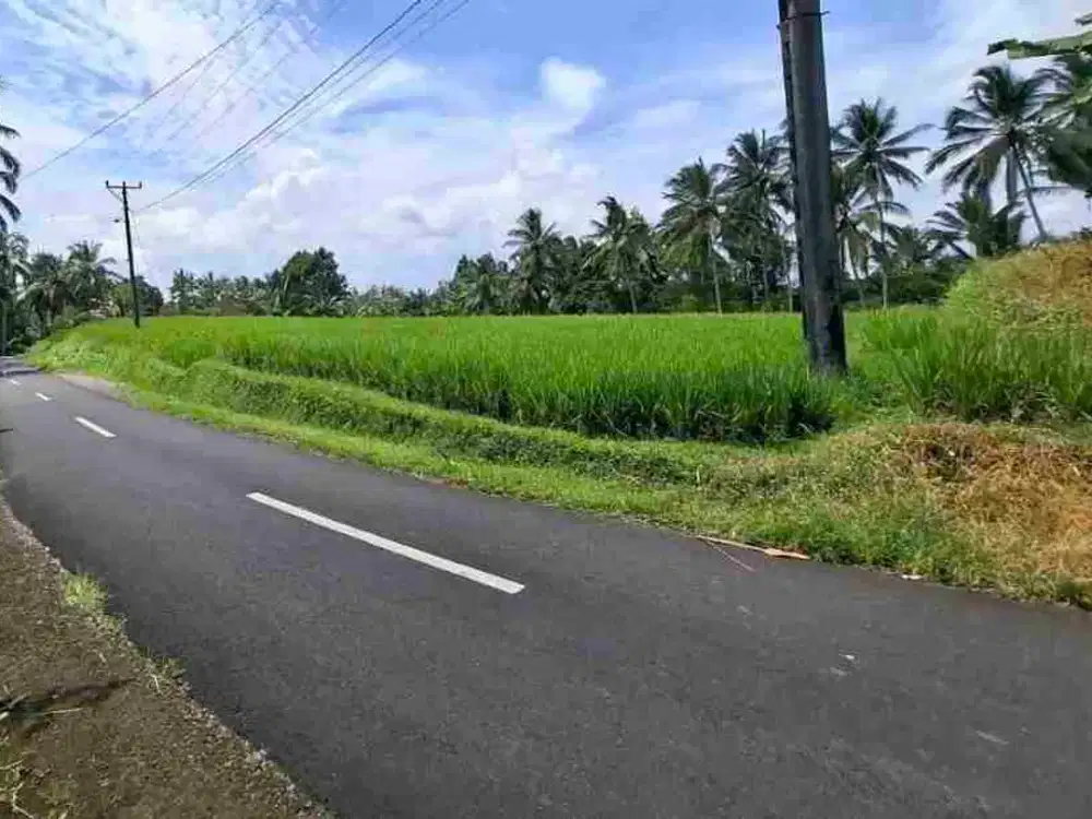 sangat langka tanah 12 are zona kuning view sawah