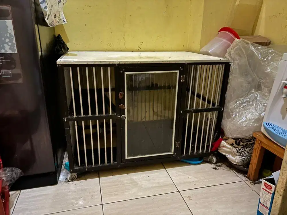 Kandang kucing lantai keramik