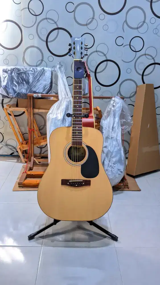 Gitar Akustik Cort Premium Baru