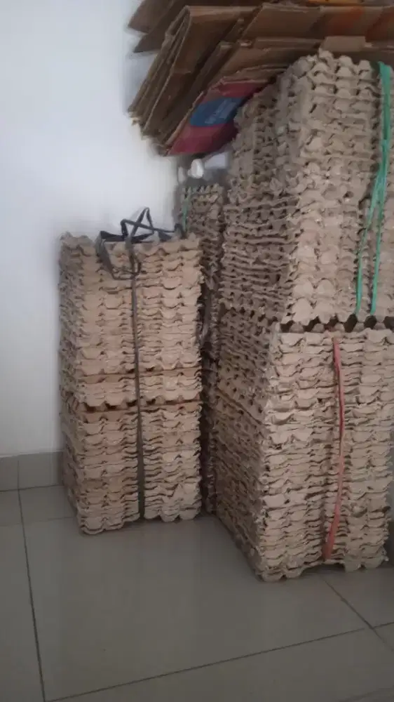 Wadoh telur masih bagus