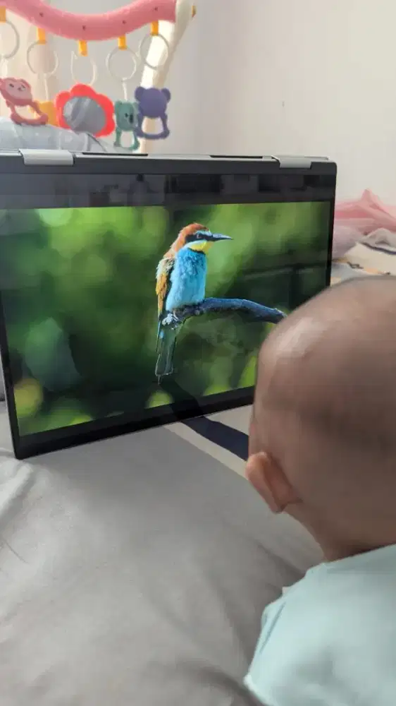 Baby sister Art di harapan jaya seroja