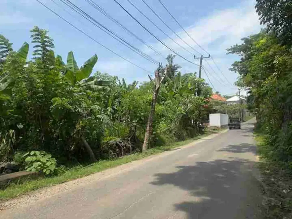 Jual Tanah Luas 2 are Total Luas 6are Lokasi Jl Melangkaja Utama Kutuh Zona Kuning area investasi Strategis