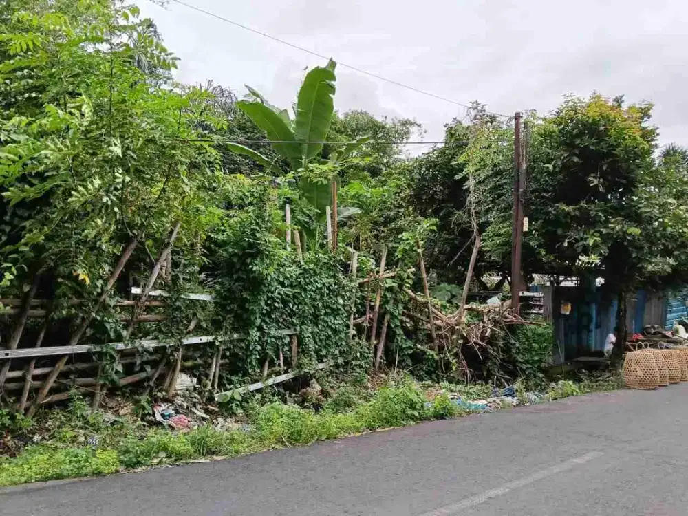 Jual Tanah Harga Global Luas 1.25are Jl Bedahulu Denpasar Utara area Hunian Strategis