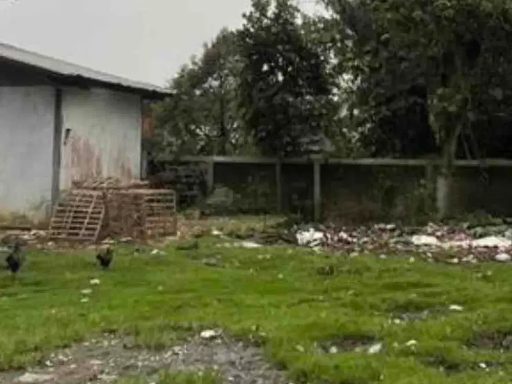 Dijual 2 bidang tanah di Bogor