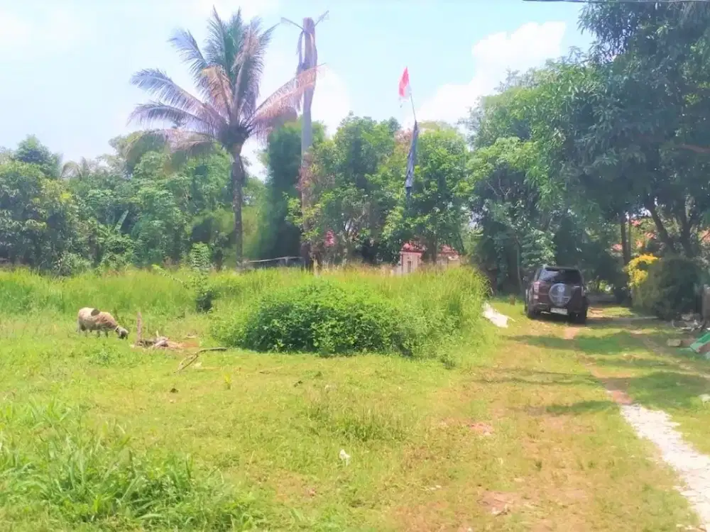 Tanah Kavling Strategis, Dekat Jl. Raya Bojonggede-Kemang