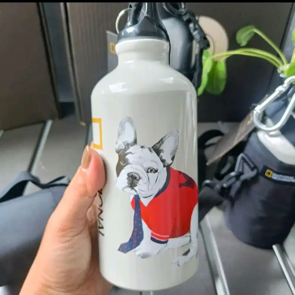 Tumbler botol minum Natgeo 350 ml stainles steel