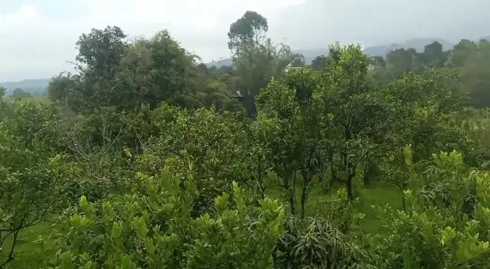 Di Jual Tanah SHM  (KOTA BATU - TANPA PERANTARA)