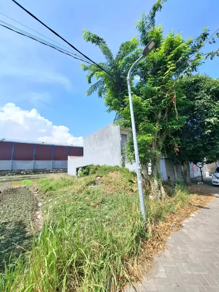 Dijual Cepat Kavling di Kedinding