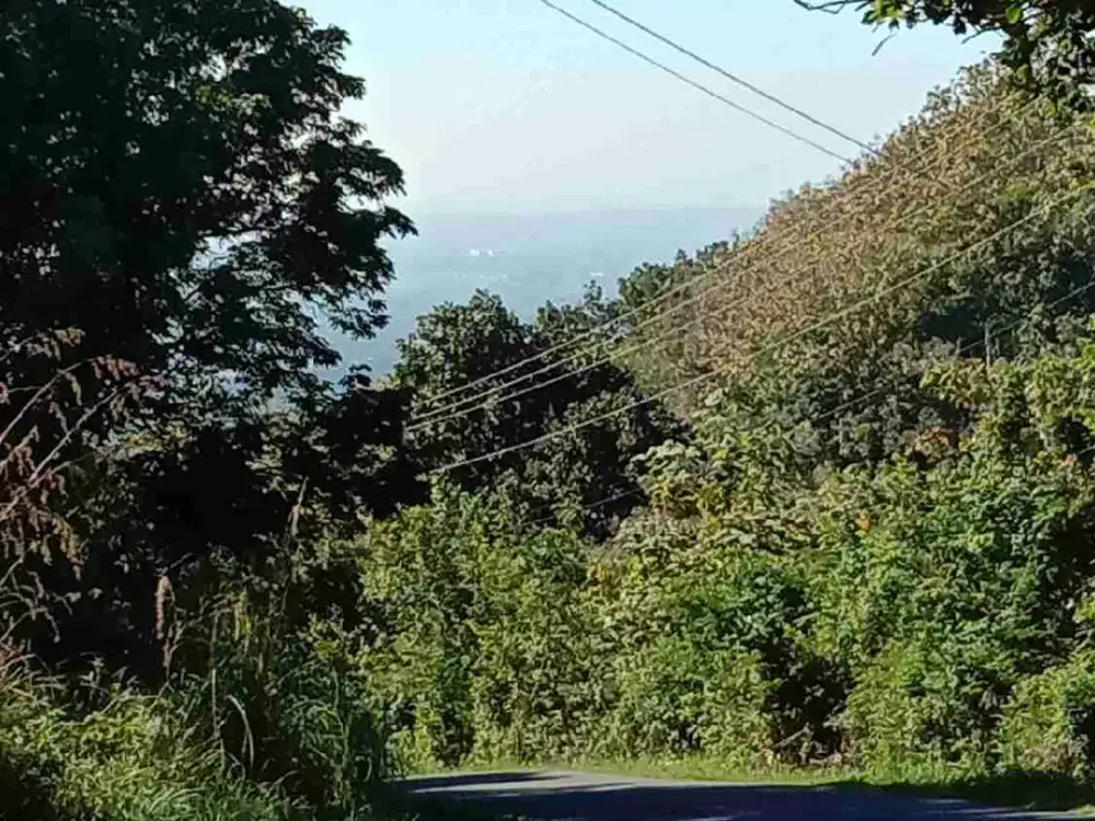 JUAL TANAH DI JALAN UTAMA GOA KISKENDO KULONPROGO YOGYAKARTA